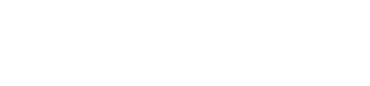 TechForce Services